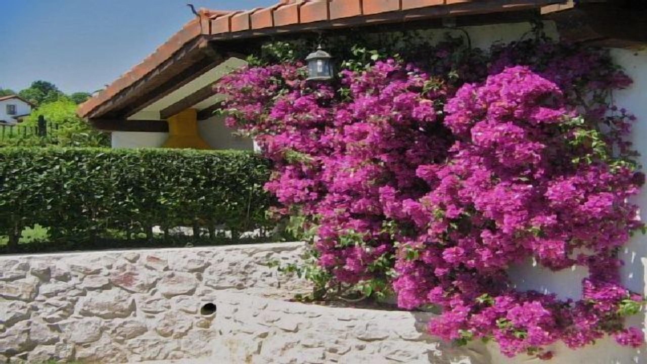 Photo of Outdoor in Lamadrid