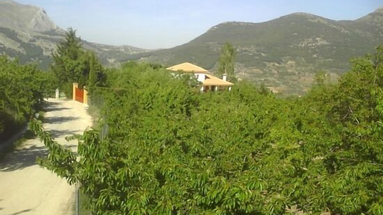 Photo of Outdoor in Torres