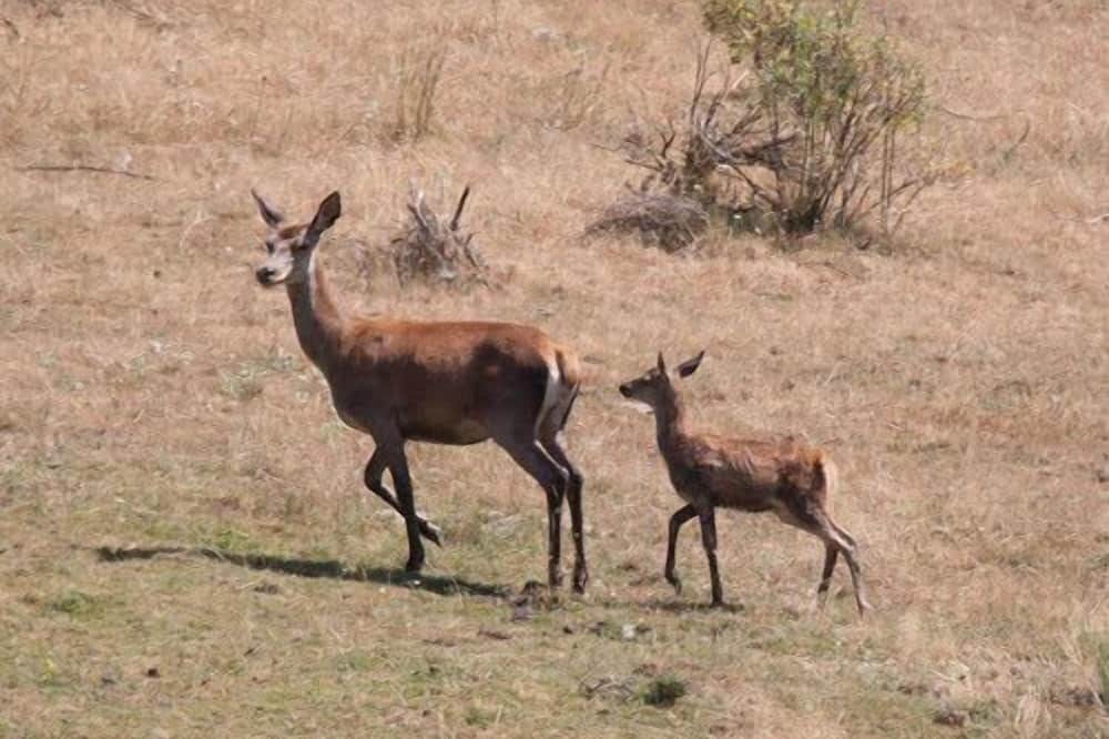 Photo of Outdoor in El Rasillo de Cameros