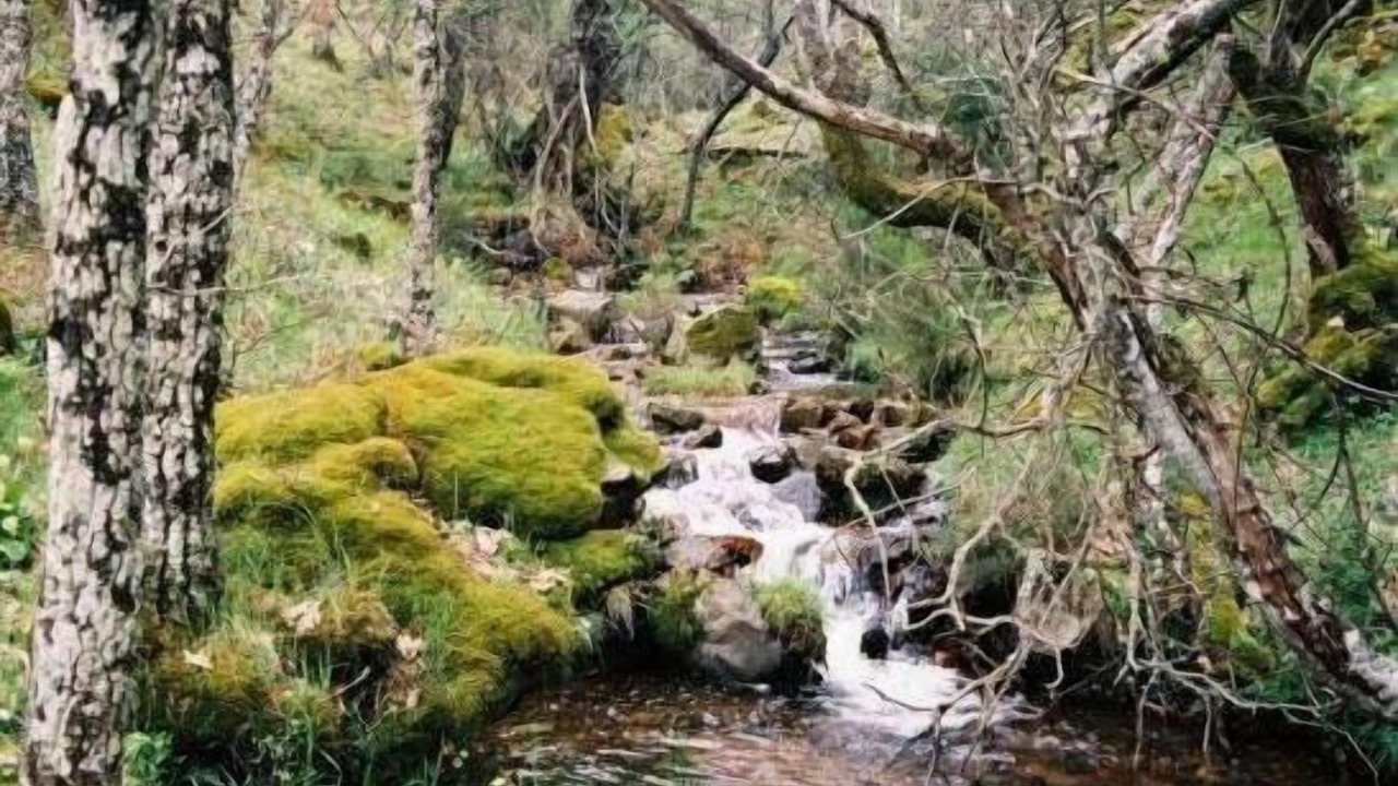 Photo of Outdoor in Menasalbas