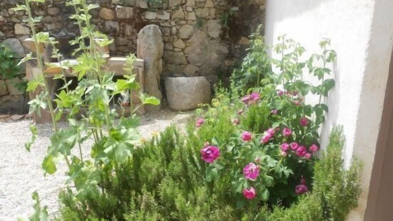 Photo of Outdoor in Menasalbas