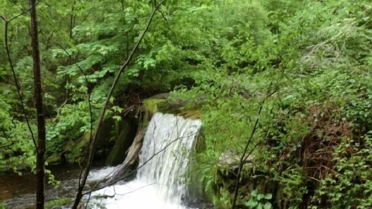 Photo of Outdoor in Limes