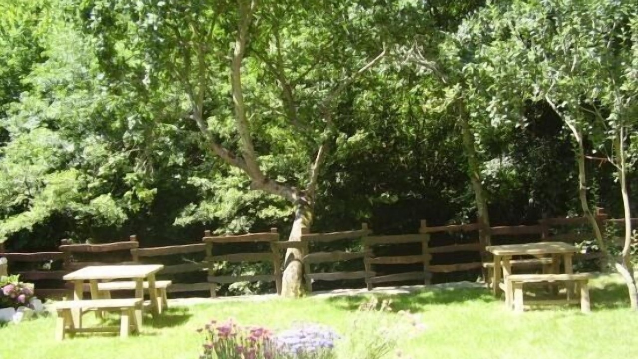 Photo of Outdoor in Limes
