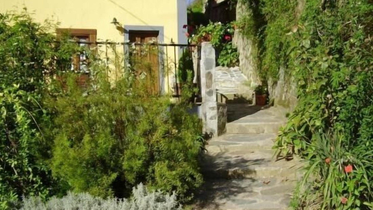 Photo of Outdoor in Limes