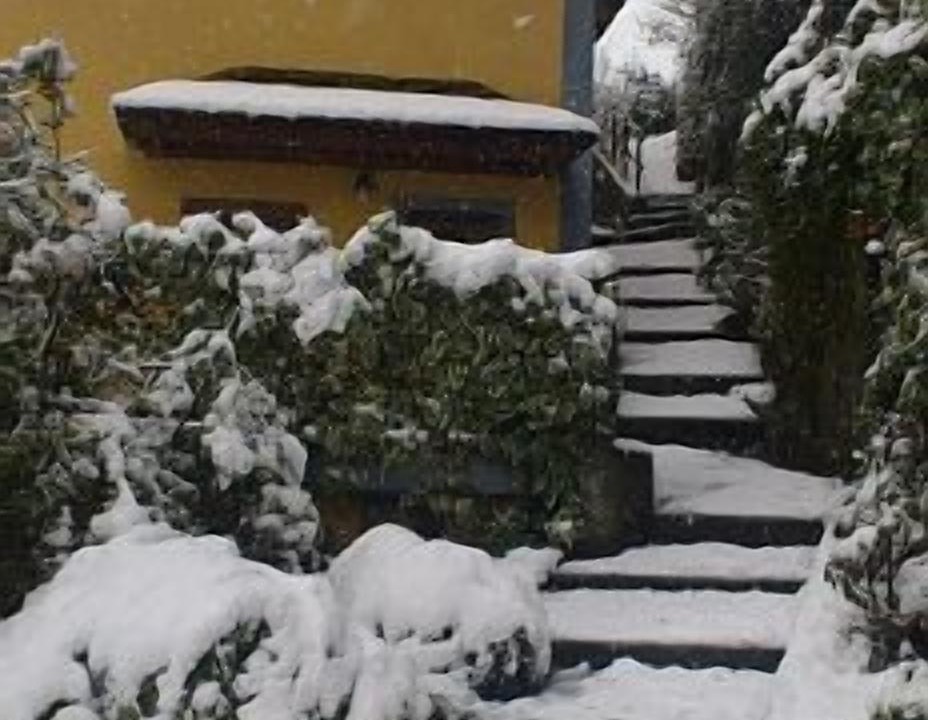 Photo of Outdoor in Limes