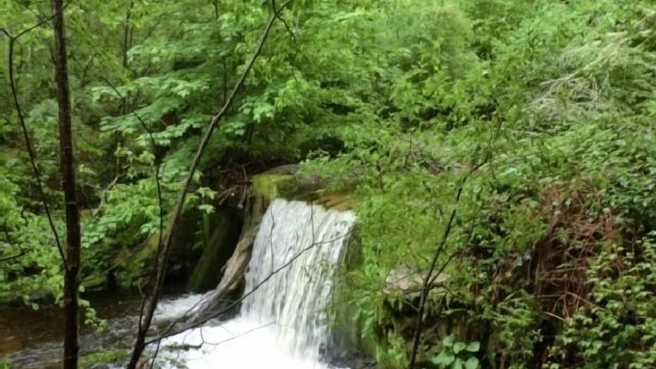 Photo of Outdoor in Limes