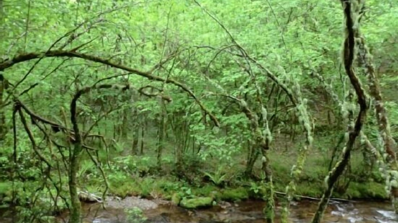 Photo of Outdoor in Limes
