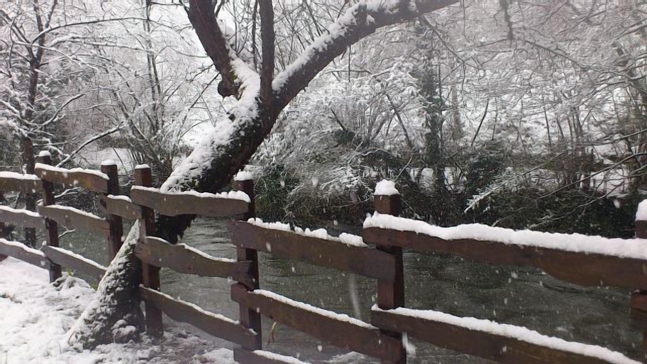 Photo of Outdoor in Limes