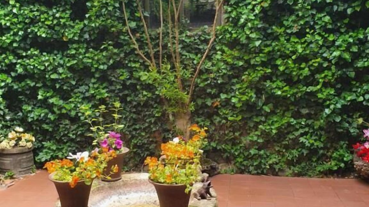 Photo of Outdoor in Medinaceli