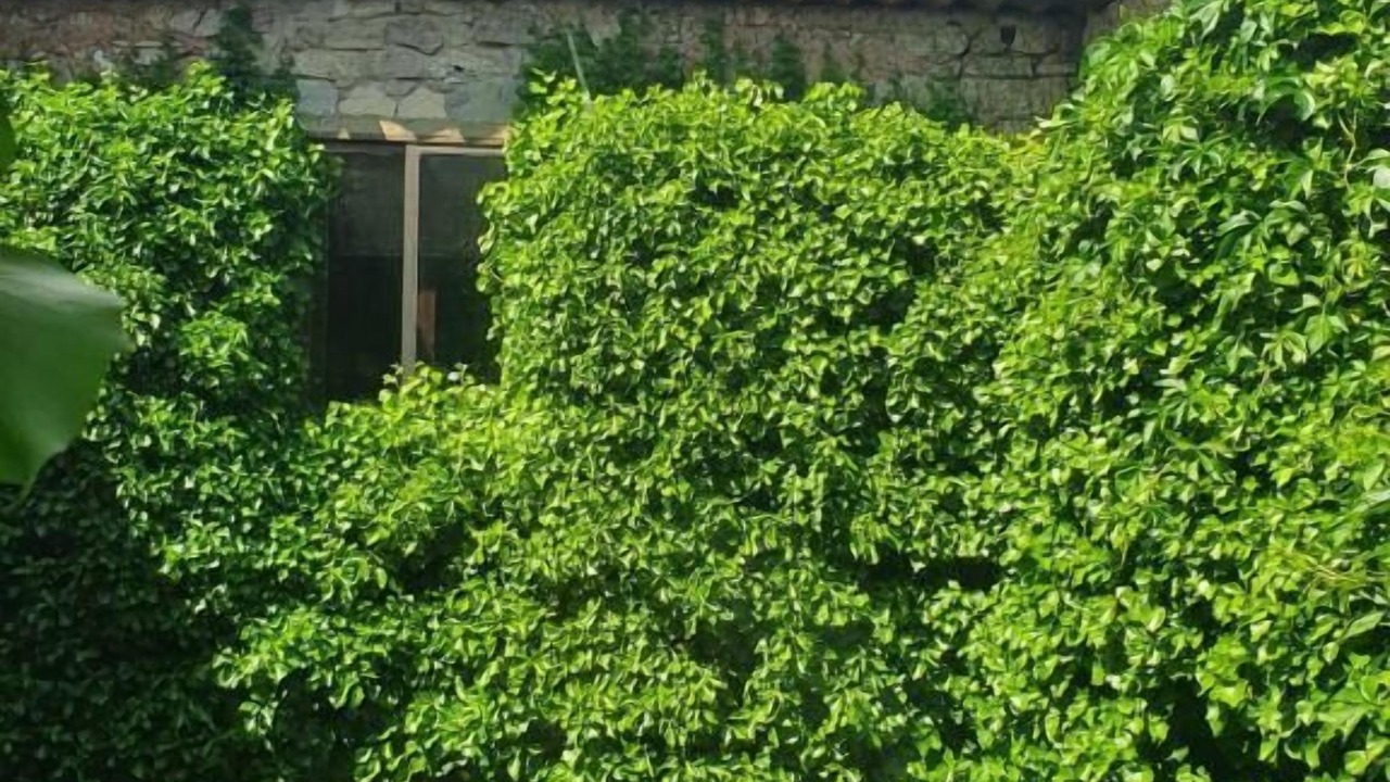 Photo of Outdoor in Medinaceli
