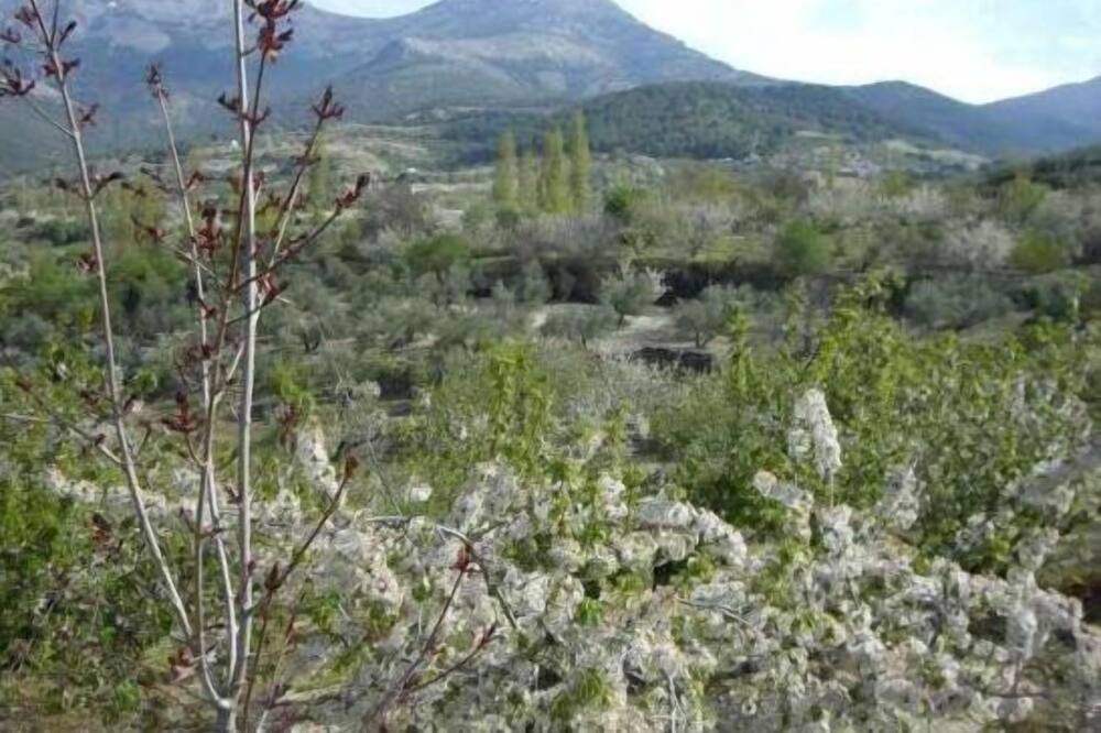 Photo of Outdoor in Torres