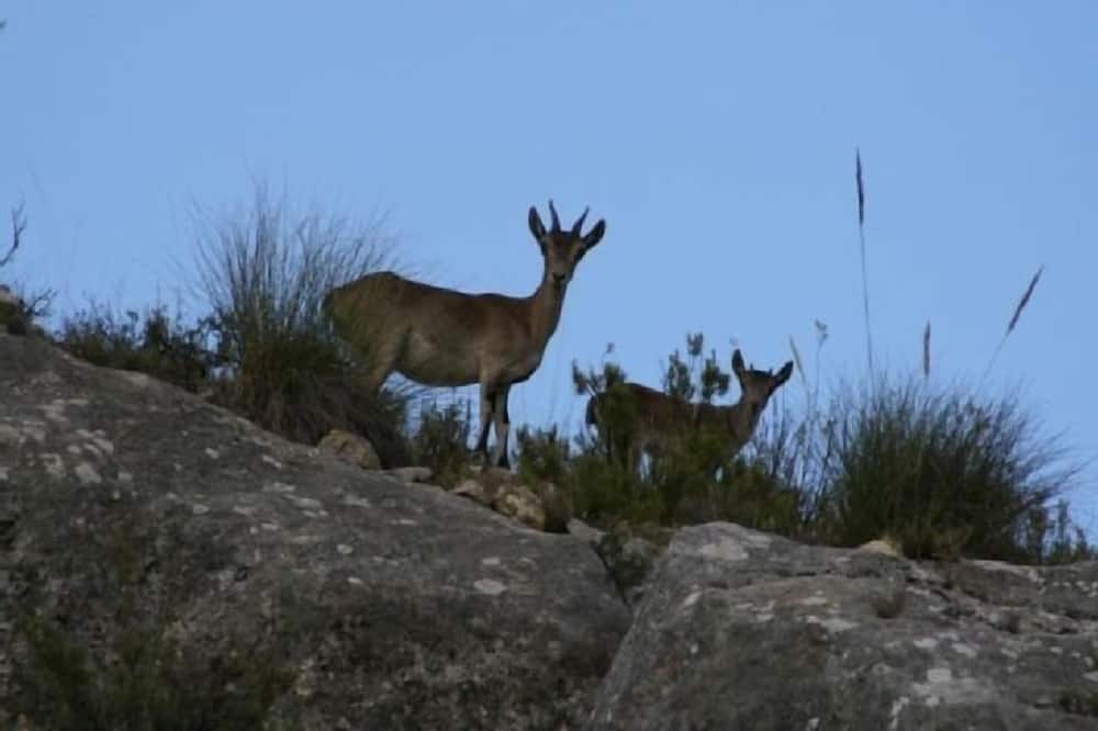 Photo of Outdoor in Las Nogueras