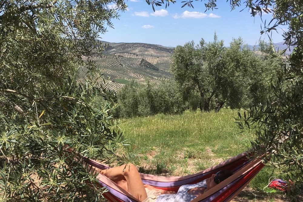 Photo of Outdoor in Moclin