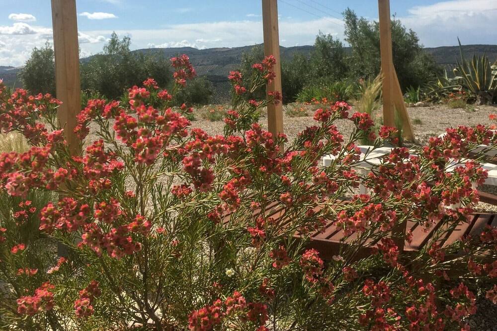 Photo of Outdoor in Moclin