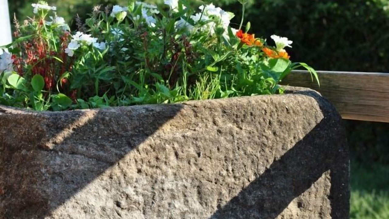 Photo of Outdoor in Sant Marti de Llemena Girona