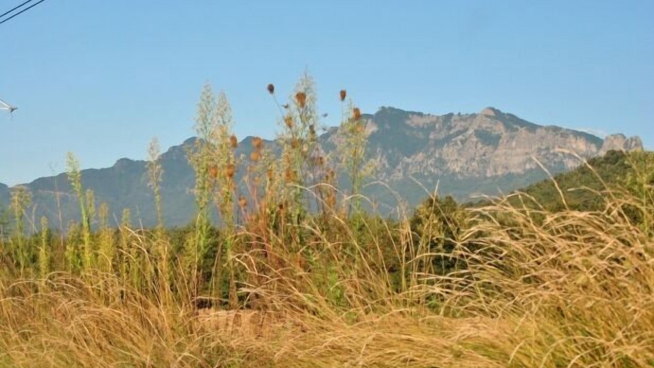 Photo of Outdoor in Sant Marti de Llemena Girona