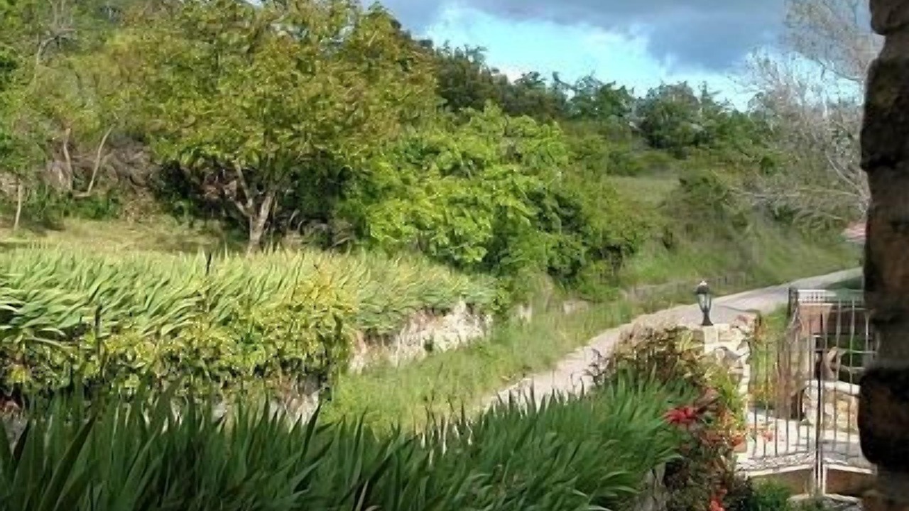 Photo of Outdoor in Robledo de la Guzpena