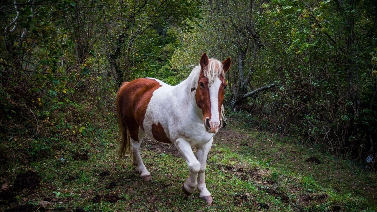 Photo of Outdoor in Villar de Vildas