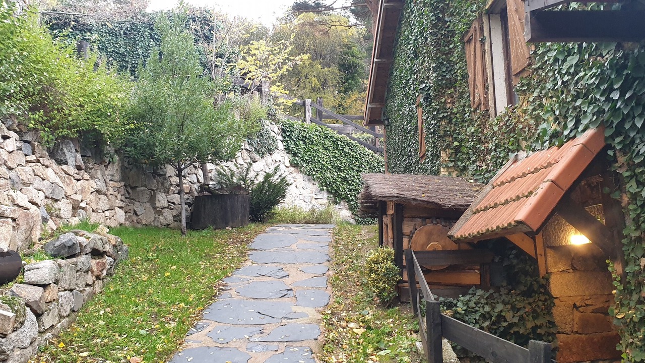 Photo of Outdoor in Cercedilla
