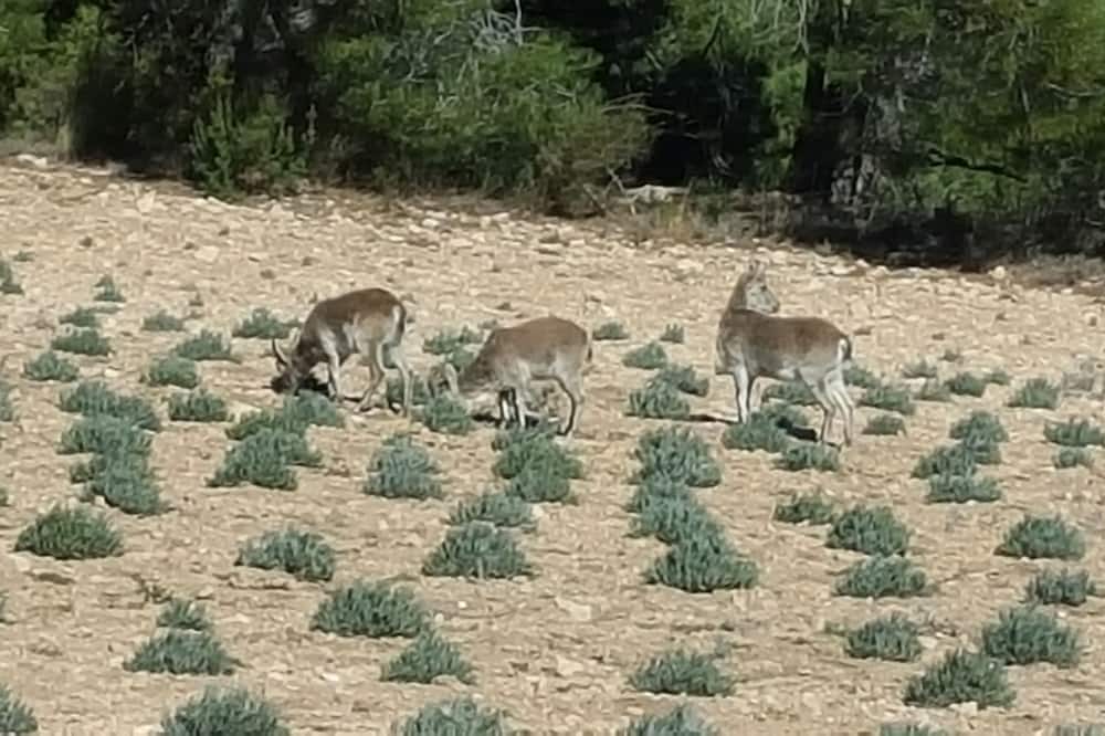 Photo of Outdoor in Moratalla