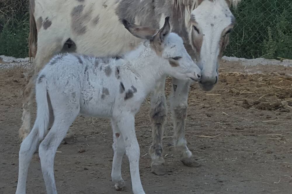 Photo of Outdoor in Moratalla