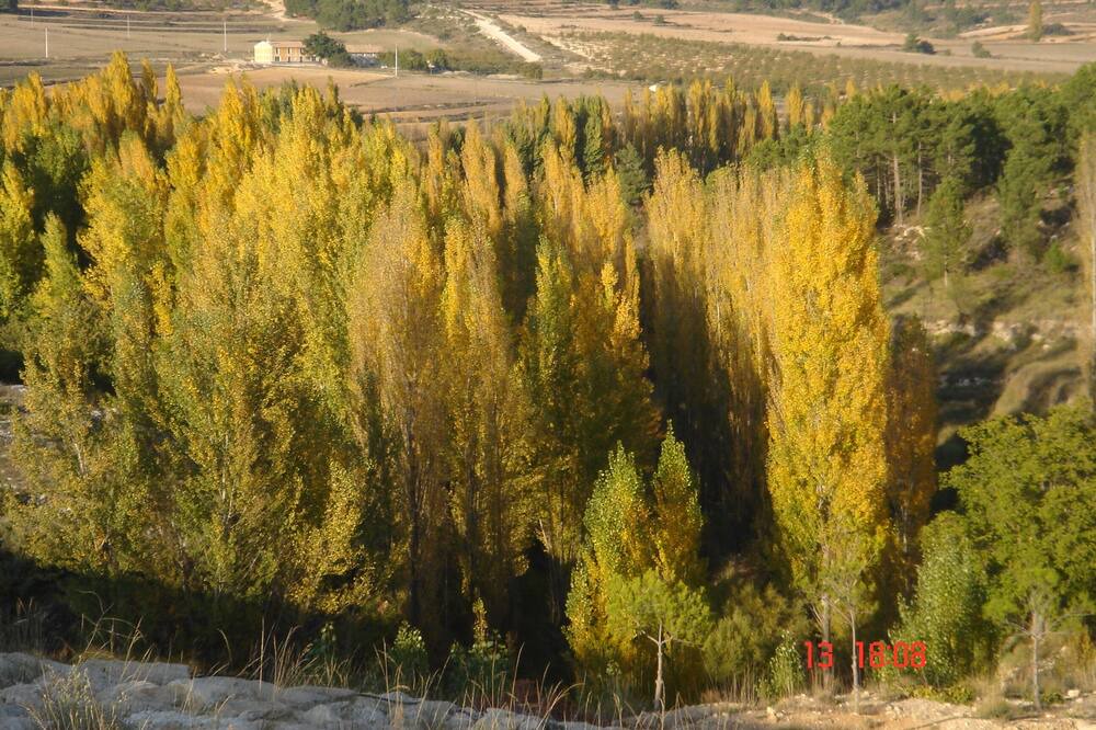 Photo of Outdoor in Moratalla