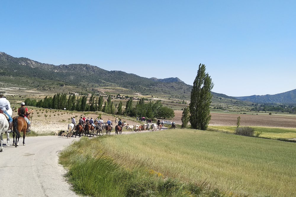 Photo of Others in Moratalla