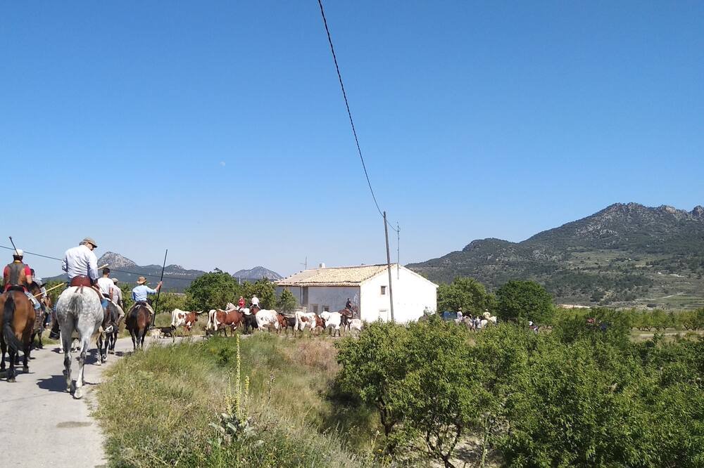 Photo of Outdoor in Moratalla