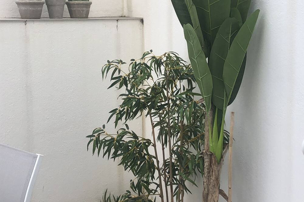 Photo of Others in Cadaques