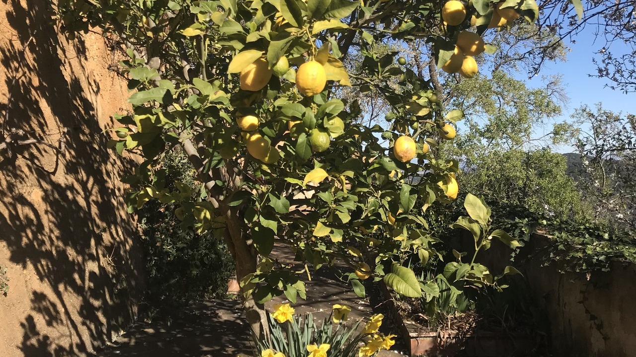 Photo of Outdoor in Santa Pellaia