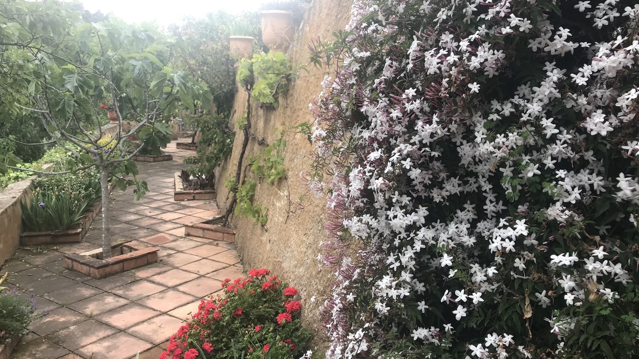 Photo of Outdoor in Santa Pellaia