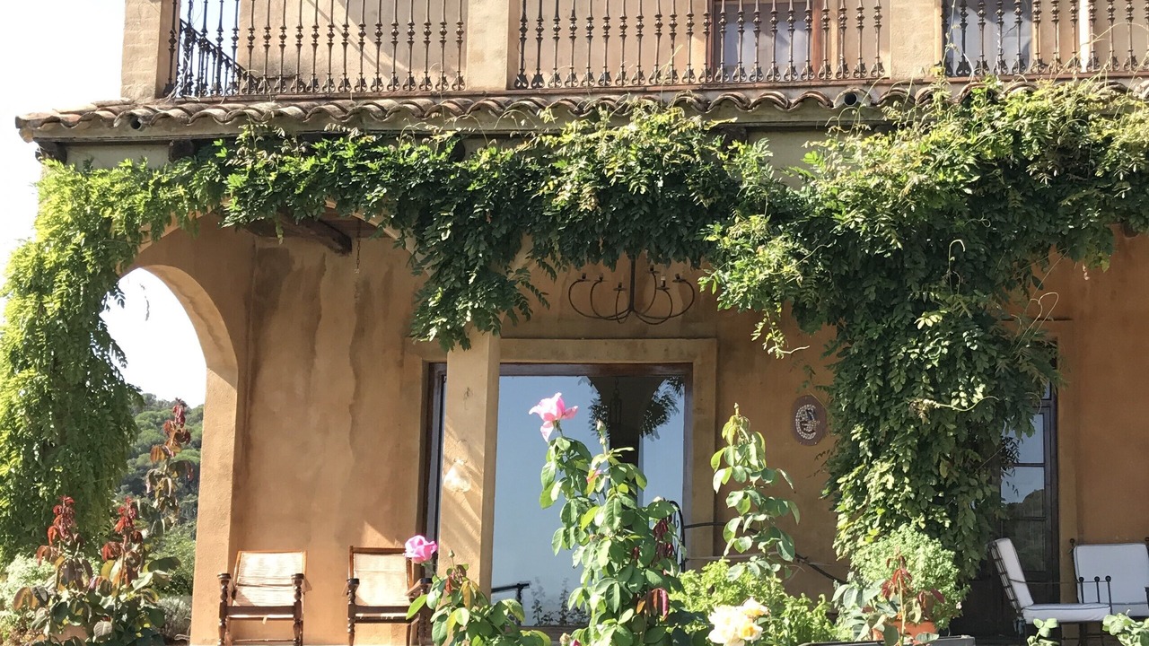 Photo of Outdoor in Santa Pellaia