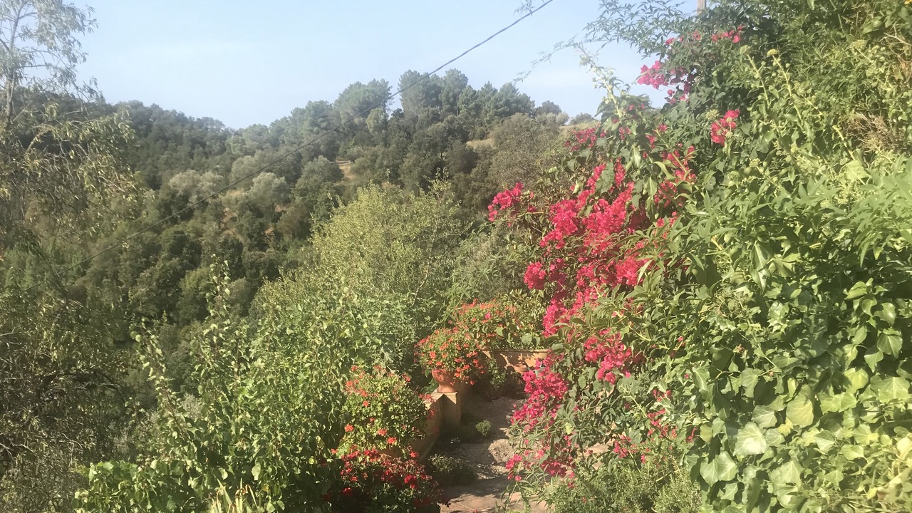 Photo of Outdoor in Santa Pellaia