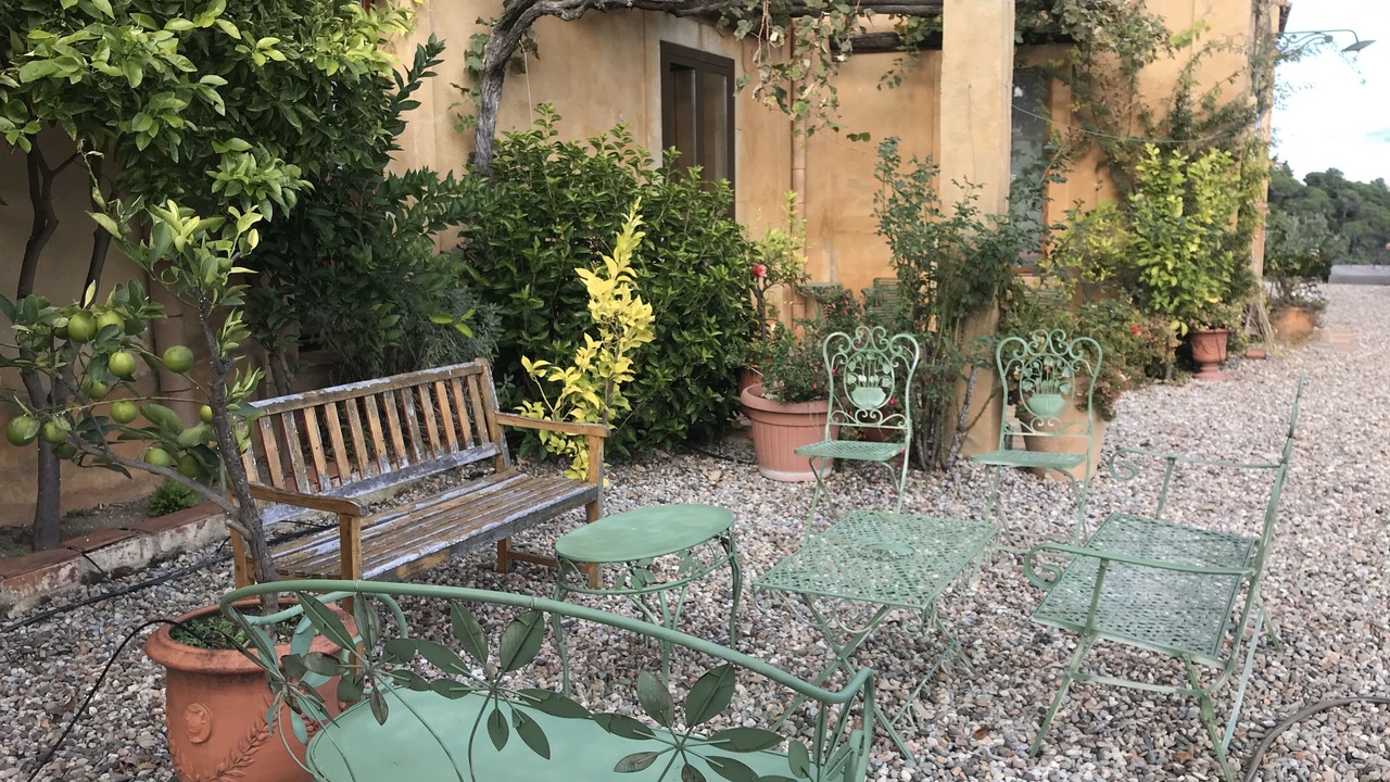 Photo of Outdoor in Santa Pellaia
