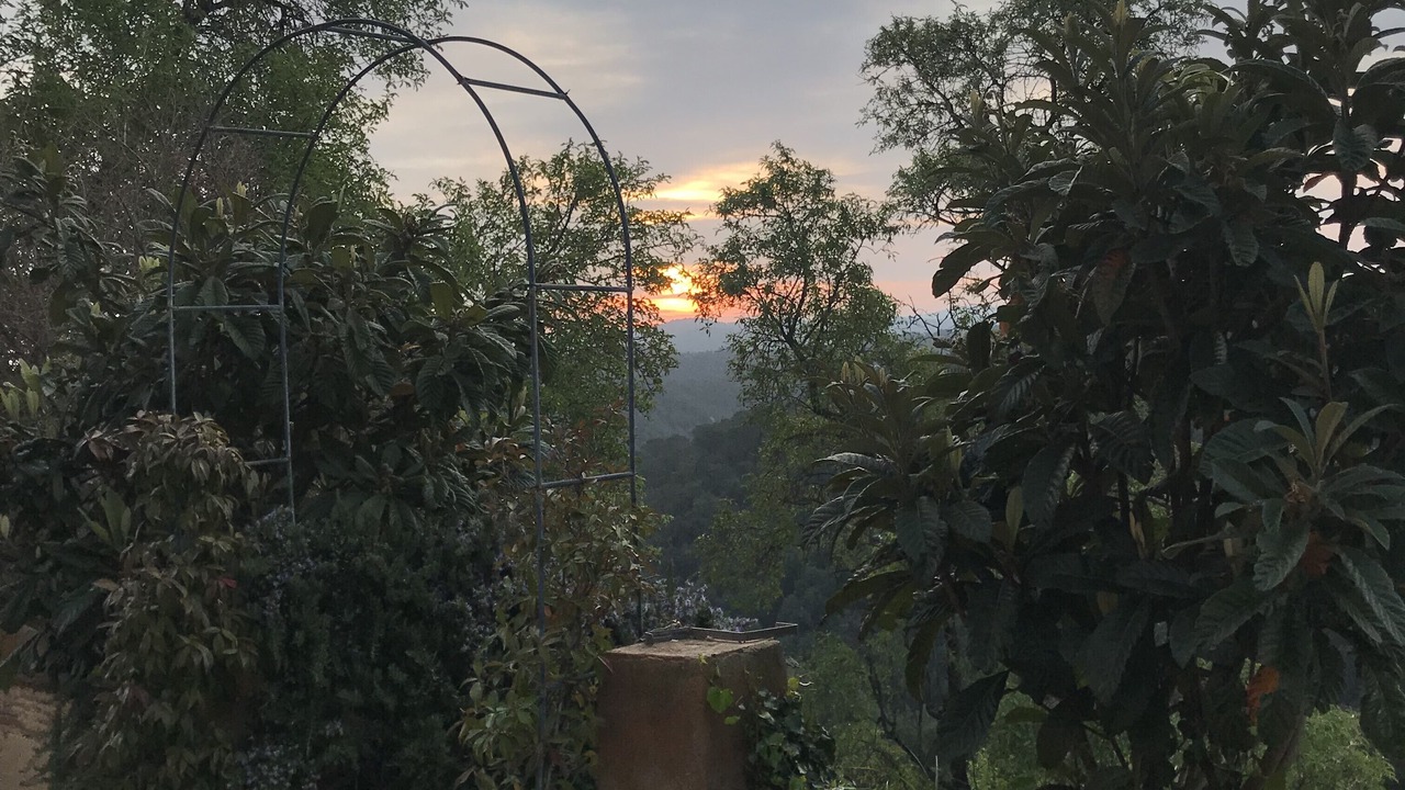 Photo of Outdoor in Santa Pellaia