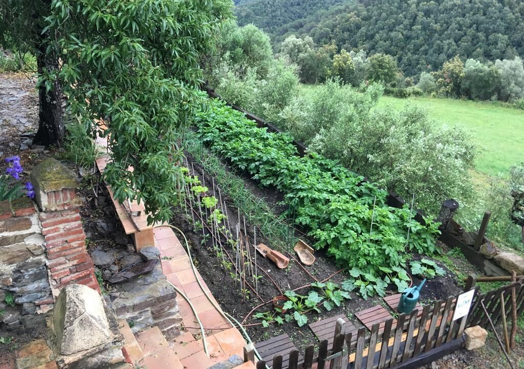 Photo of Outdoor in Santa Pellaia