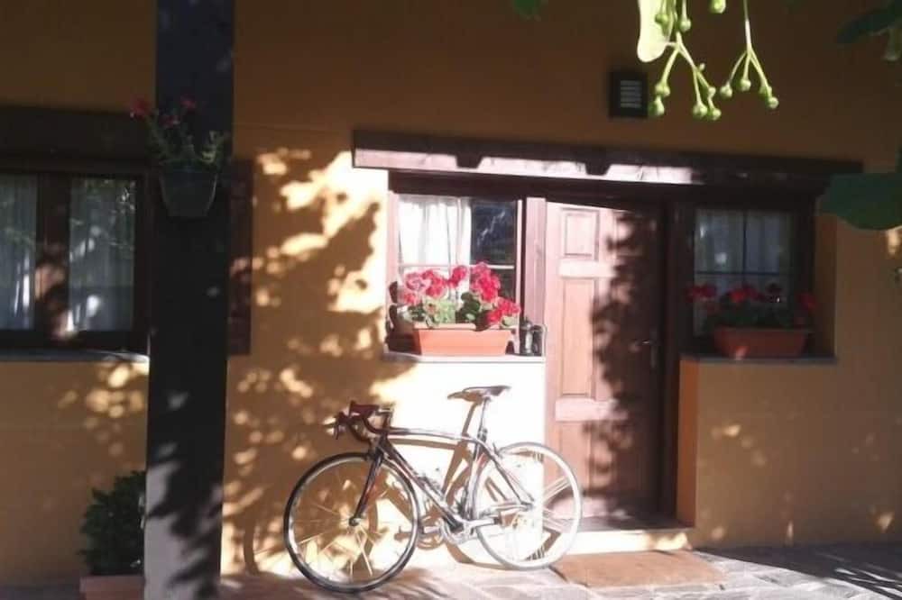 Photo of Outdoor in Campo