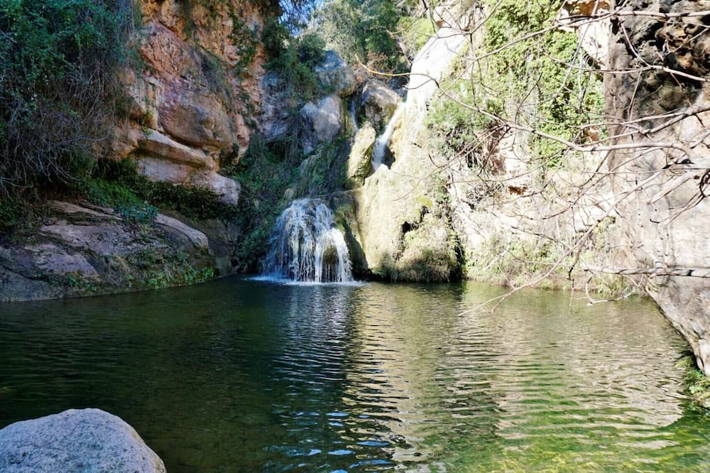 Photo of Others in Gualba de Dalt