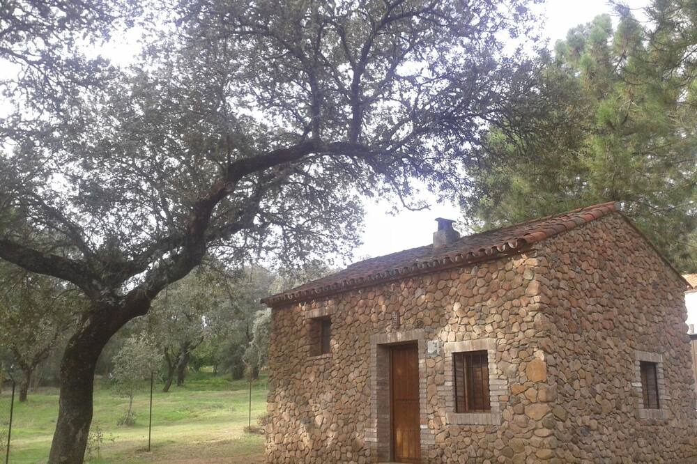 Photo of Outdoor in Villaviciosa de Cordoba