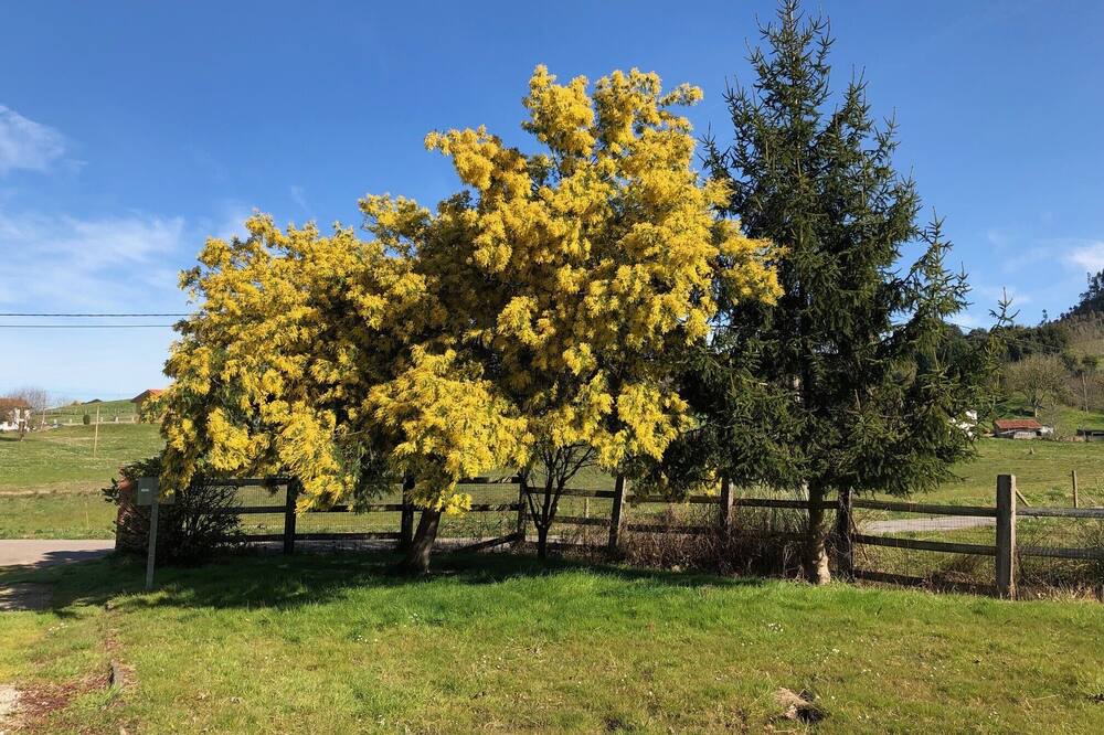 Photo of Outdoor in Rumoroso