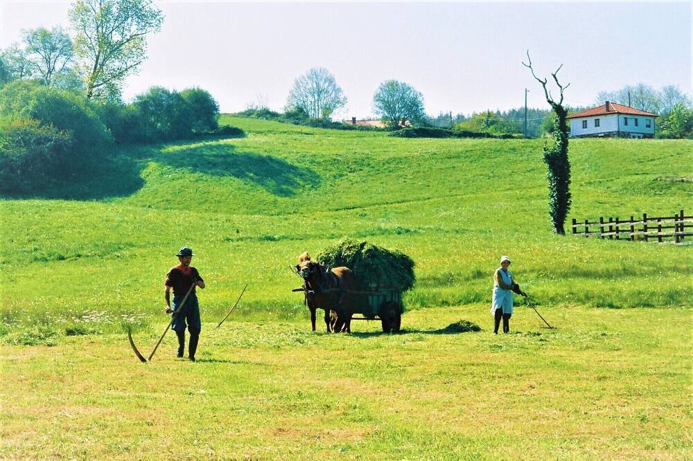 Photo of Others in Rumoroso