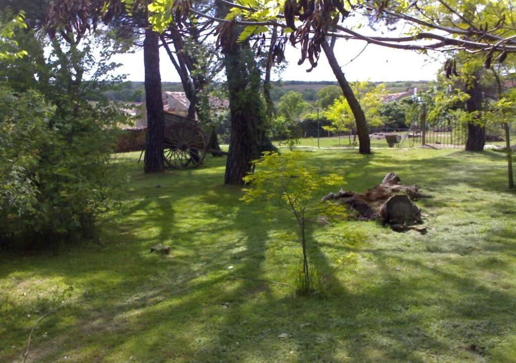 Photo of Outdoor in Aldeanueva De La Serrezuela