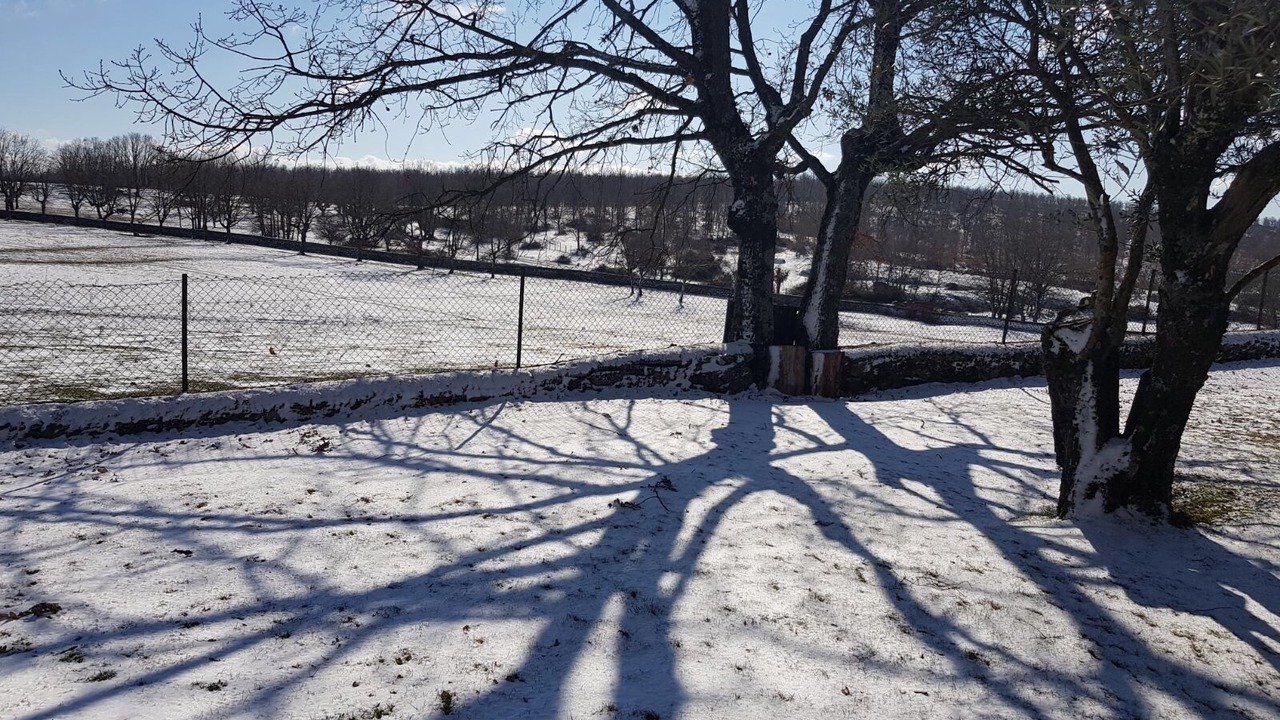 Photo of Outdoor in El Tornadizo