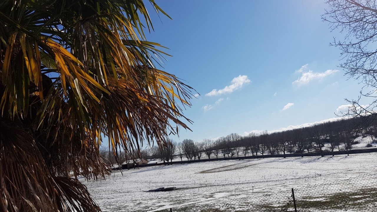 Photo of Outdoor in El Tornadizo