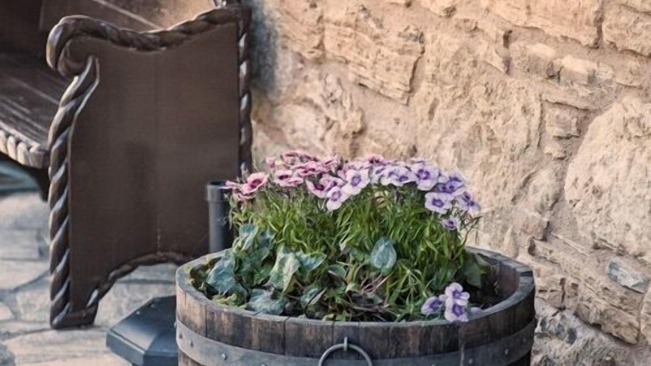 Photo of Outdoor in Vega de Valcarce