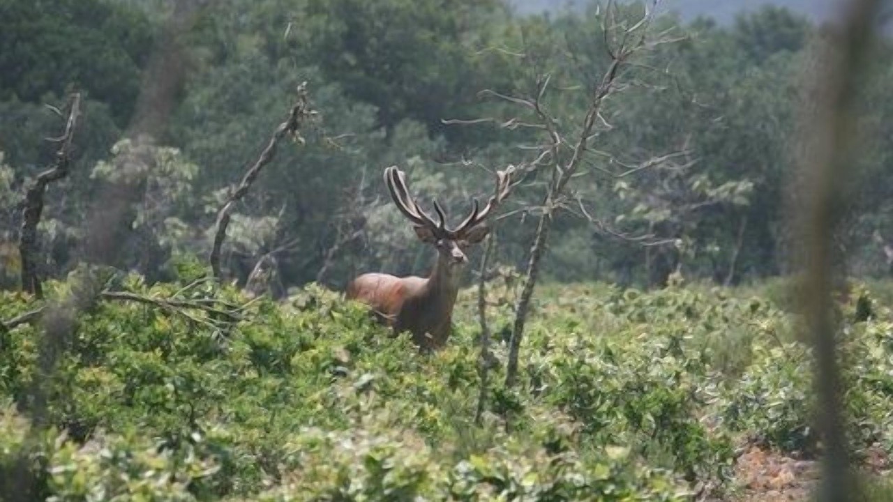 Photo of Outdoor in Santa Maria de Nava
