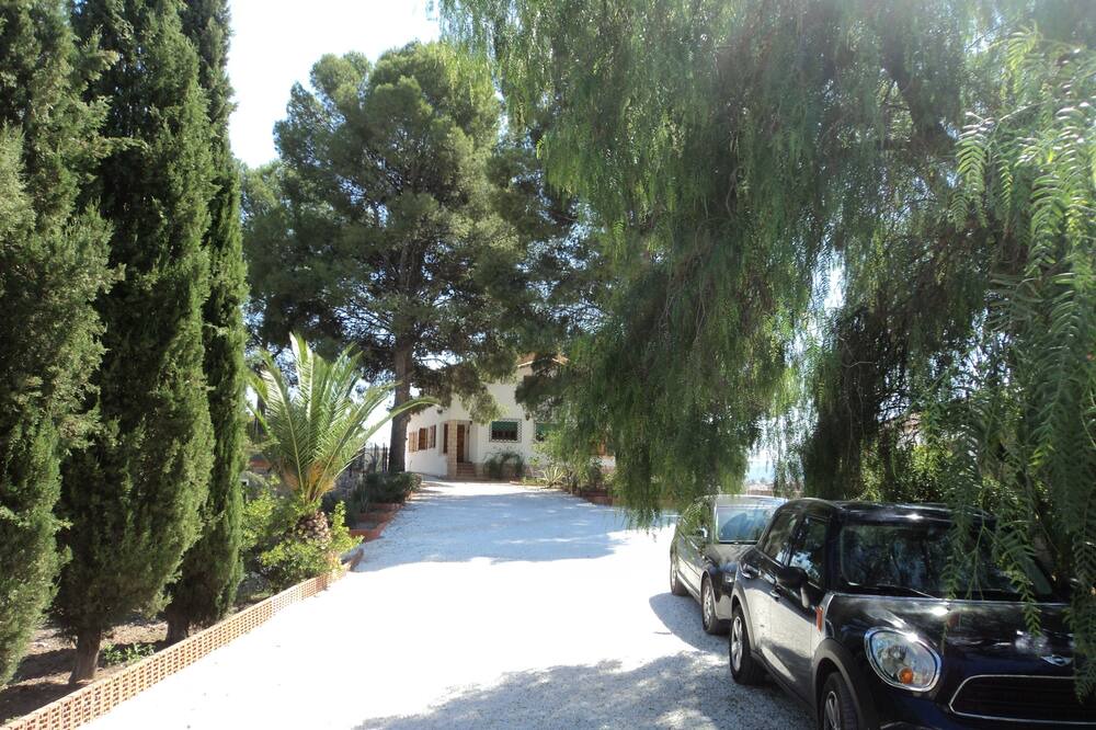 Photo of Outdoor in Cehegin