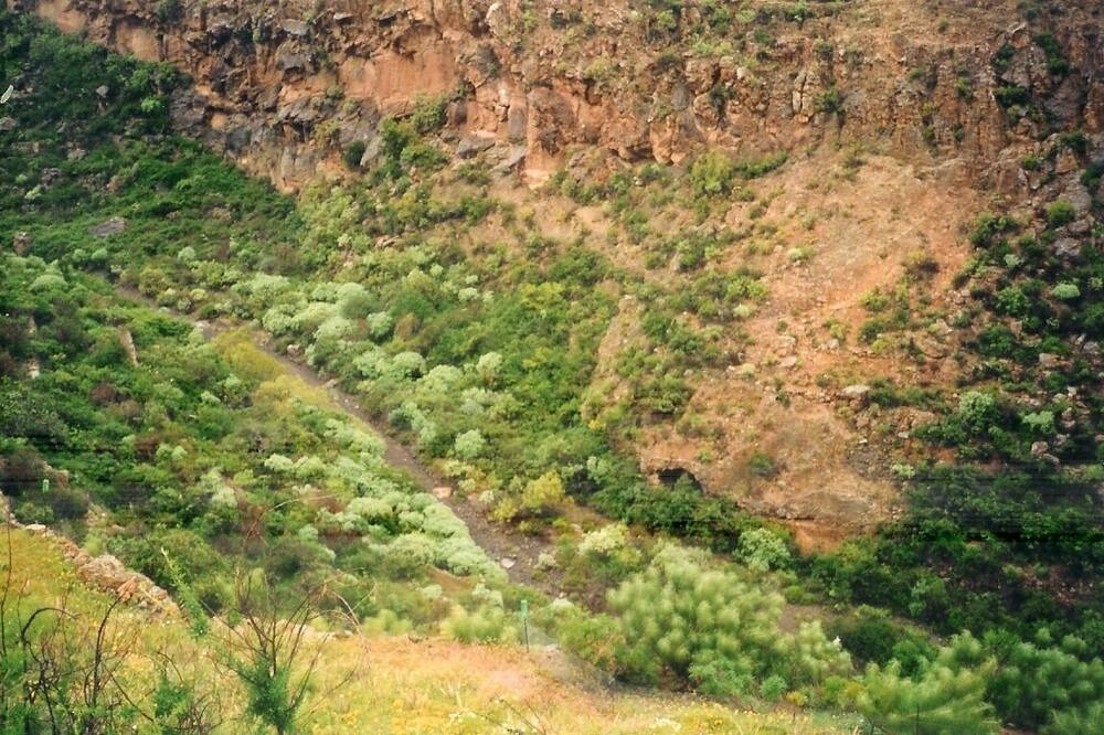 Photo of Outdoor in Los Gavilanes