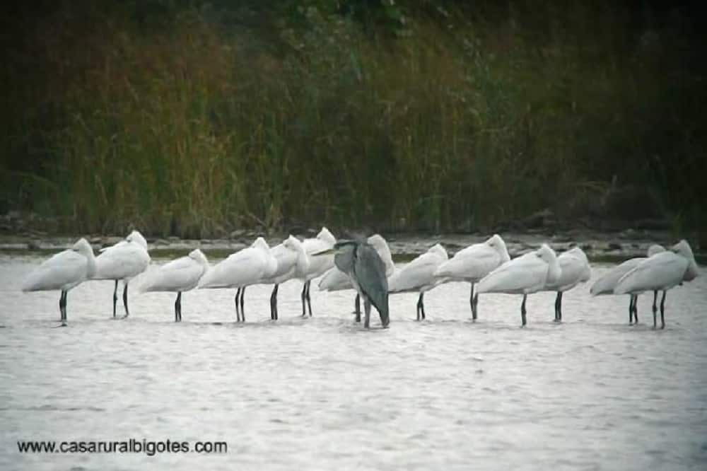 Photo of Others in Arlanzon