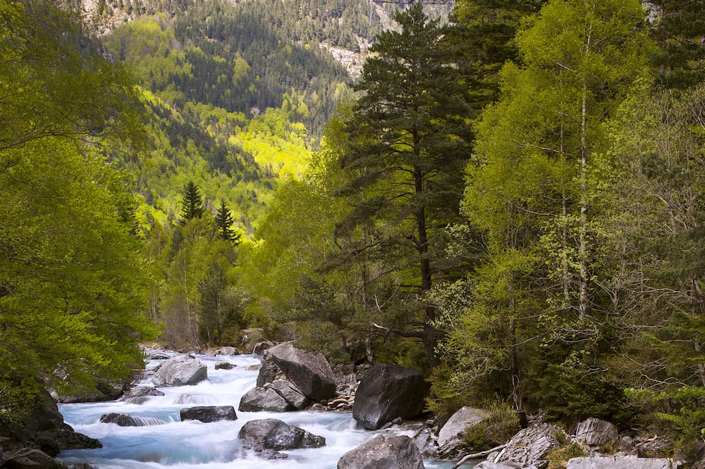 Photo of Others in Torla-Ordesa